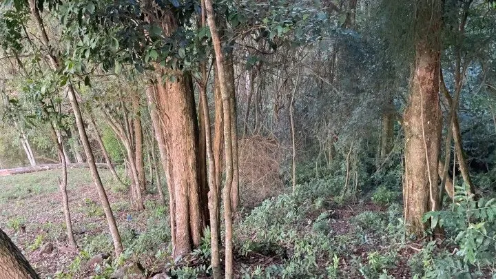 Chácara à venda de 1 ha em Glorinha, RS, Brasil