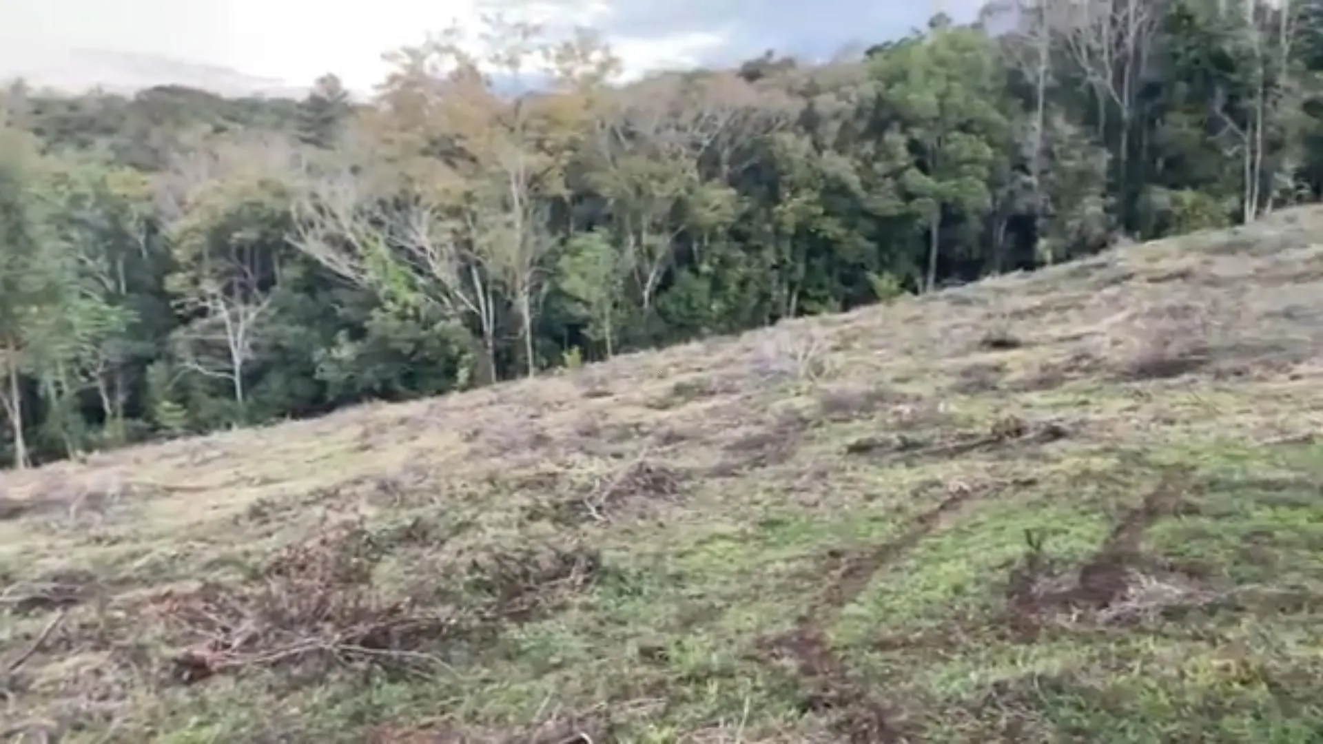 Chácara à venda de 1 ha em Glorinha, RS, Brasil