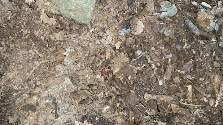 Chácara à venda de 1 ha em Glorinha, RS, Brasil