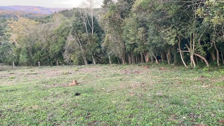 Chácara à venda de 1 ha em Glorinha, RS, Brasil