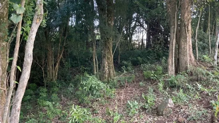 Chácara à venda de 1 ha em Glorinha, RS, Brasil