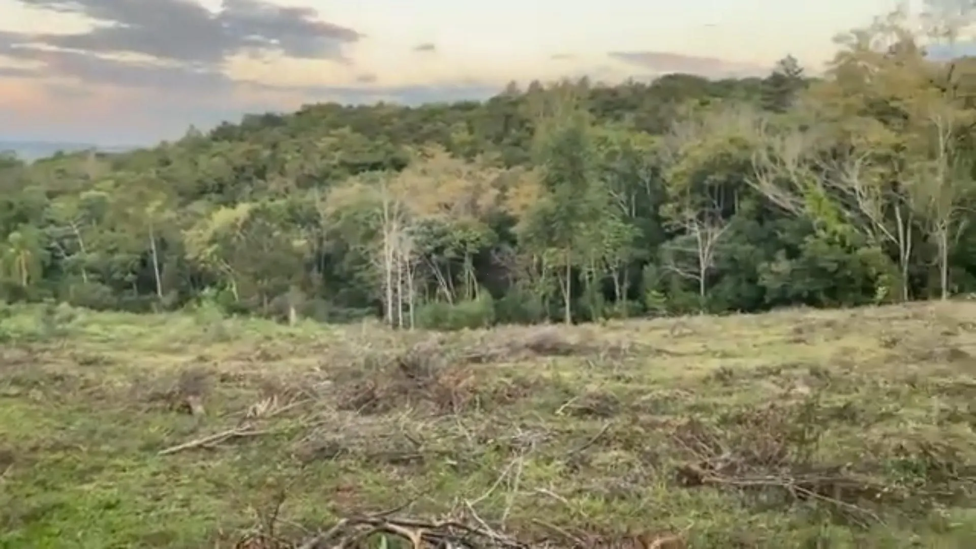 Chácara à venda de 1 ha em Glorinha, RS, Brasil