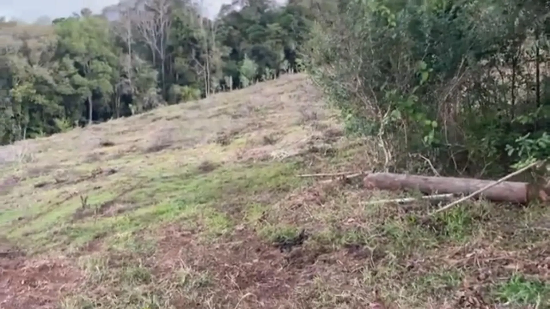 Chácara à venda de 1 ha em Glorinha, RS, Brasil