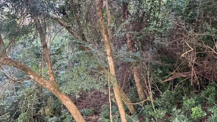 Chácara à venda de 1 ha em Glorinha, RS, Brasil