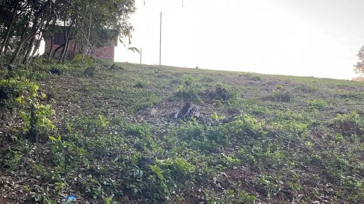 Chácara à venda de 1 ha em Glorinha, RS, Brasil