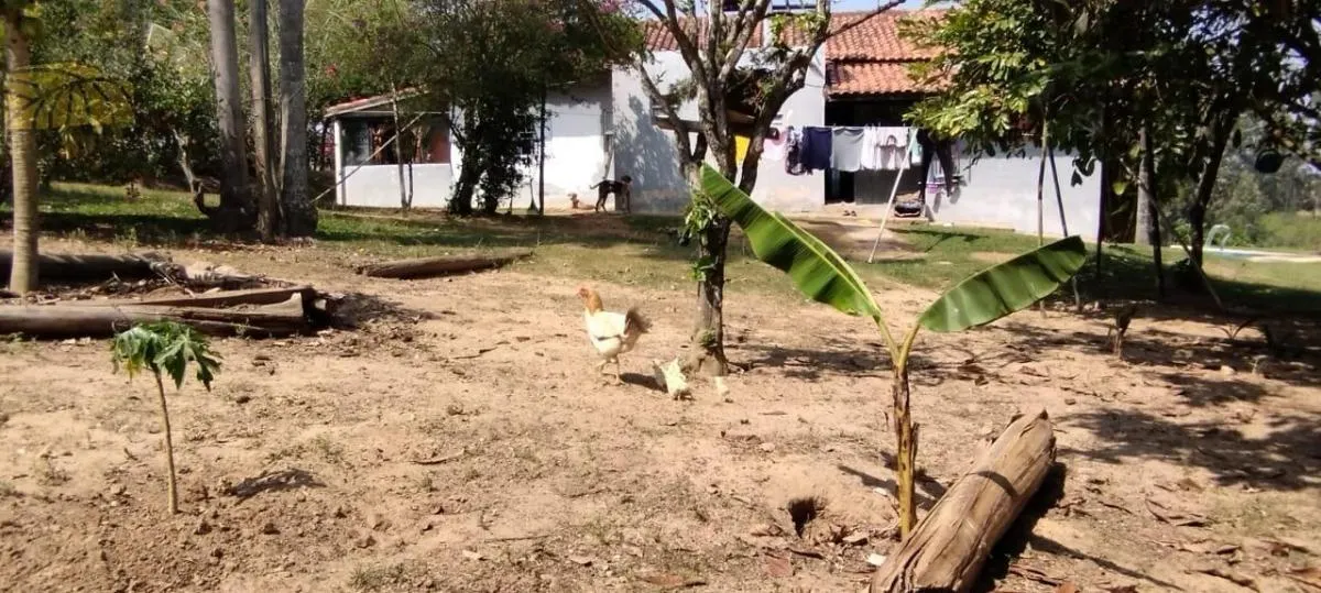 Small farm for sale of 18 acres in Sarapuí, SP, Brazil