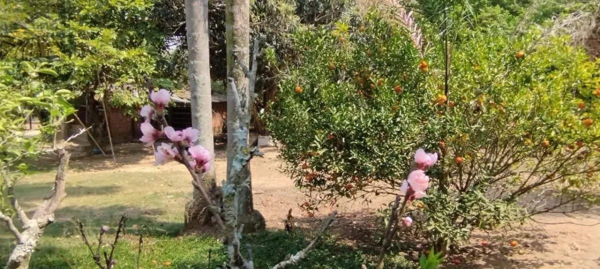 Small farm for sale of 18 acres in Sarapuí, SP, Brazil