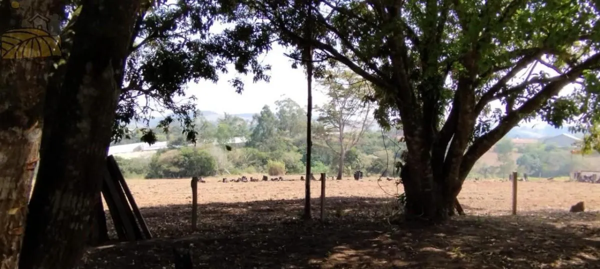 Small farm for sale of 18 acres in Sarapuí, SP, Brazil