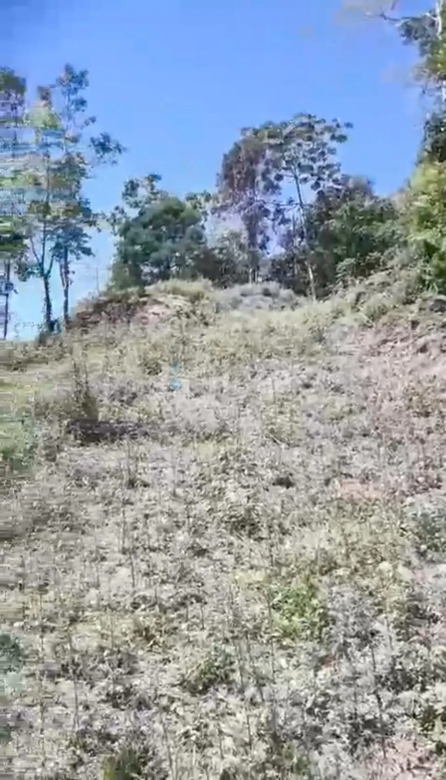 Country home for sale of 10 acres in Brusque, SC, Brazil