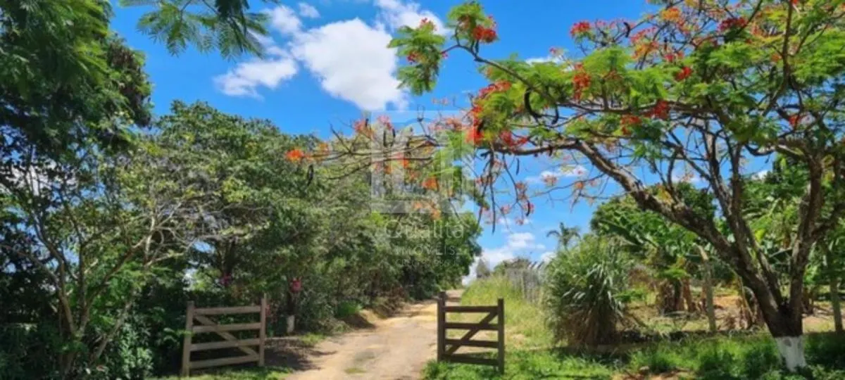 Chácara à venda de 3 ha em Porto Feliz, SP, Brasil