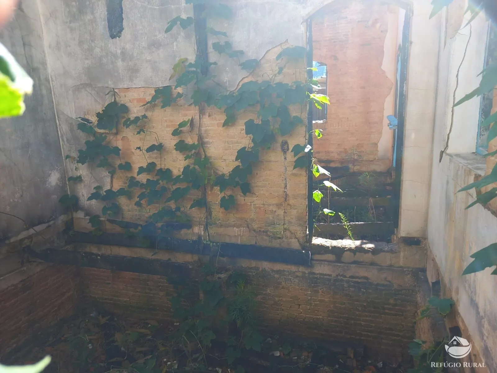 Fazenda à venda de 111 ha em Toledo, MG, Brasil