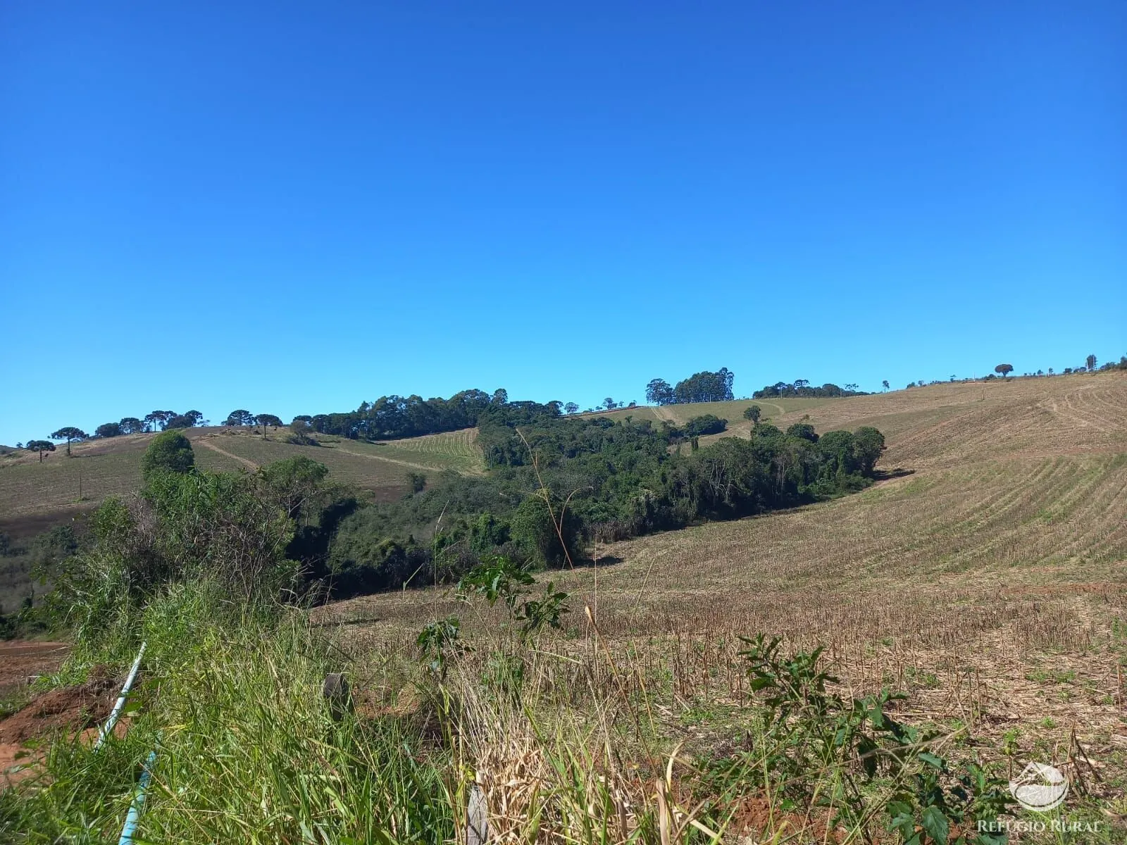 Fazenda à venda de 111 ha em Toledo, MG, Brasil