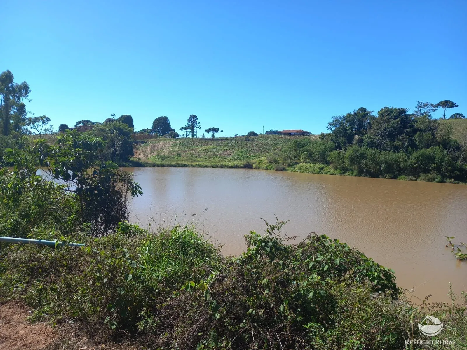 Fazenda à venda de 111 ha em Toledo, MG, Brasil