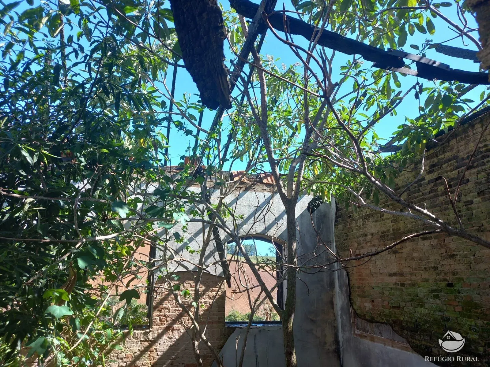 Fazenda à venda de 111 ha em Toledo, MG, Brasil