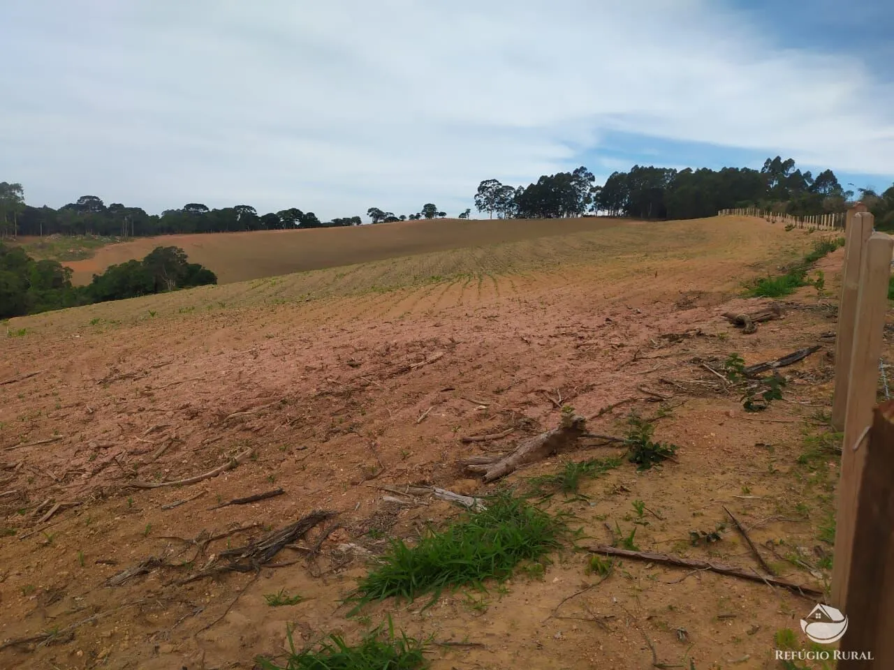 Fazenda à venda de 111 ha em Toledo, MG, Brasil