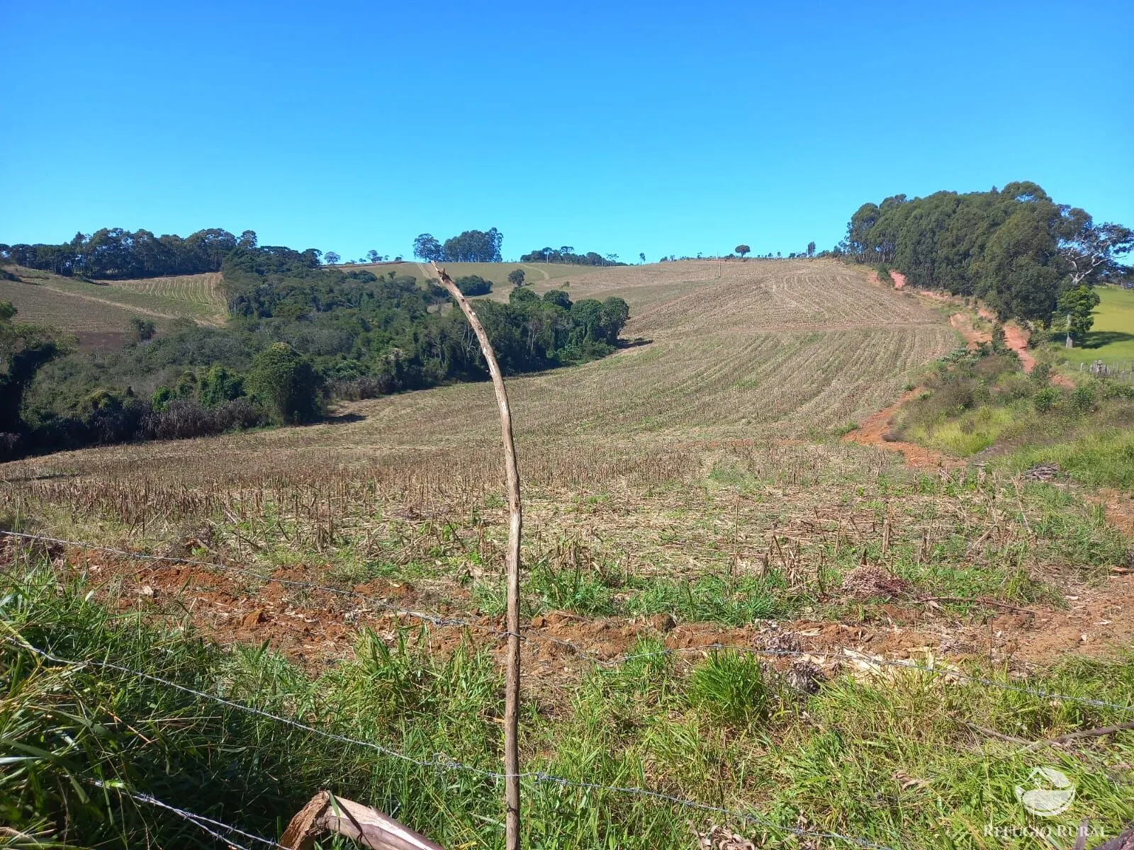Fazenda à venda de 111 ha em Toledo, MG, Brasil