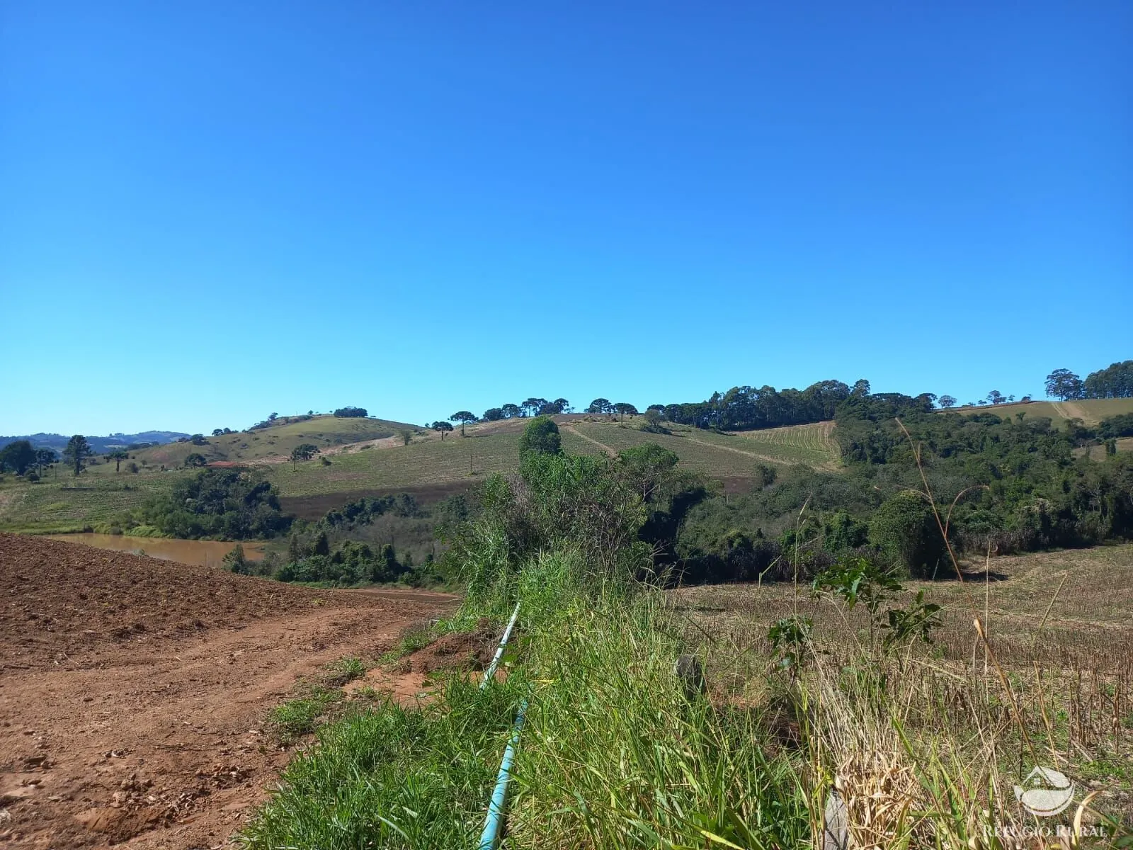 Fazenda à venda de 111 ha em Toledo, MG, Brasil
