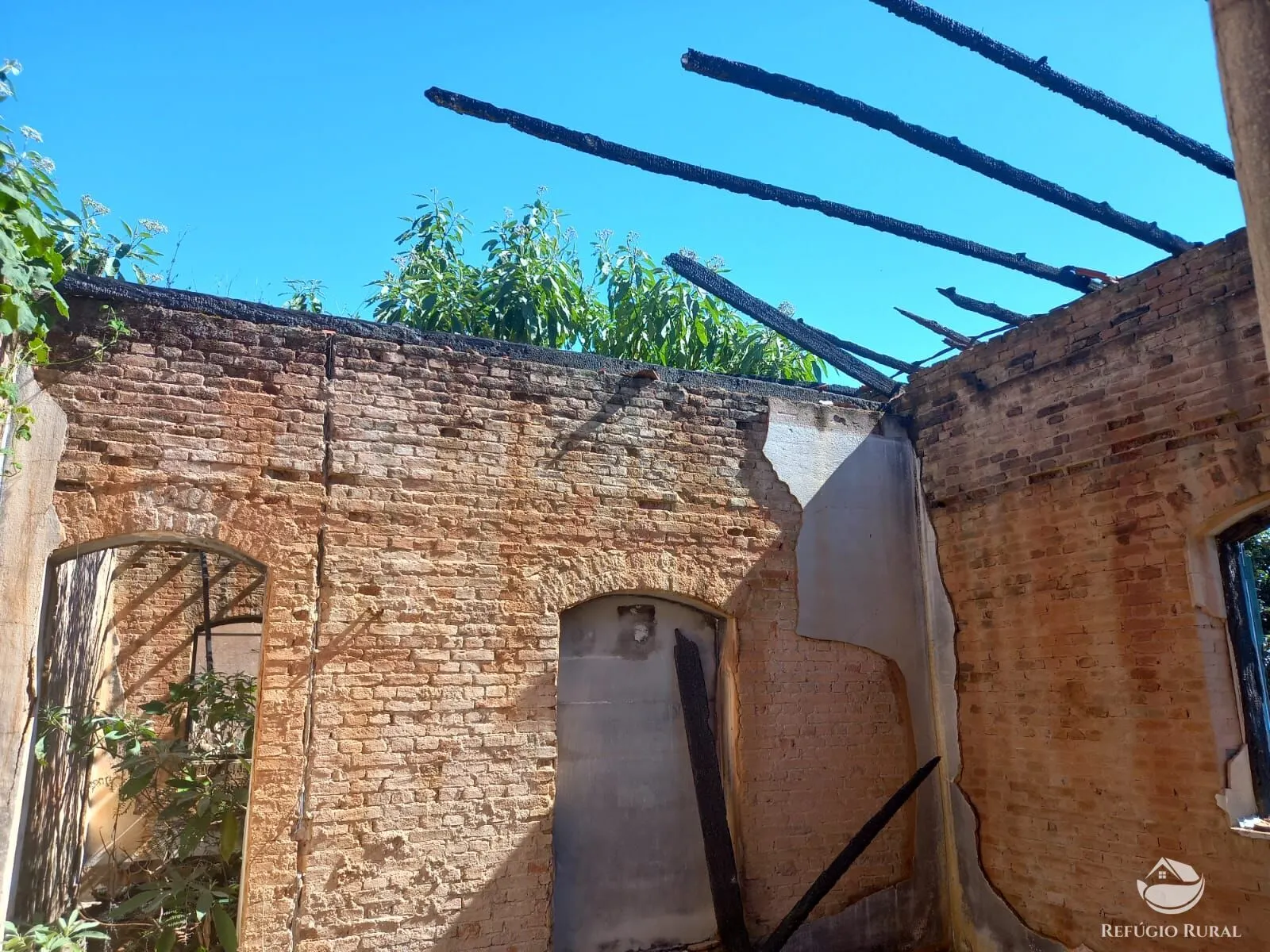 Fazenda à venda de 111 ha em Toledo, MG, Brasil