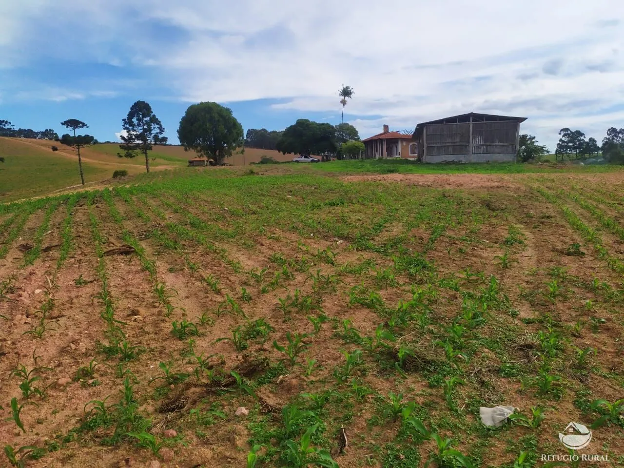 Fazenda à venda de 111 ha em Toledo, MG, Brasil