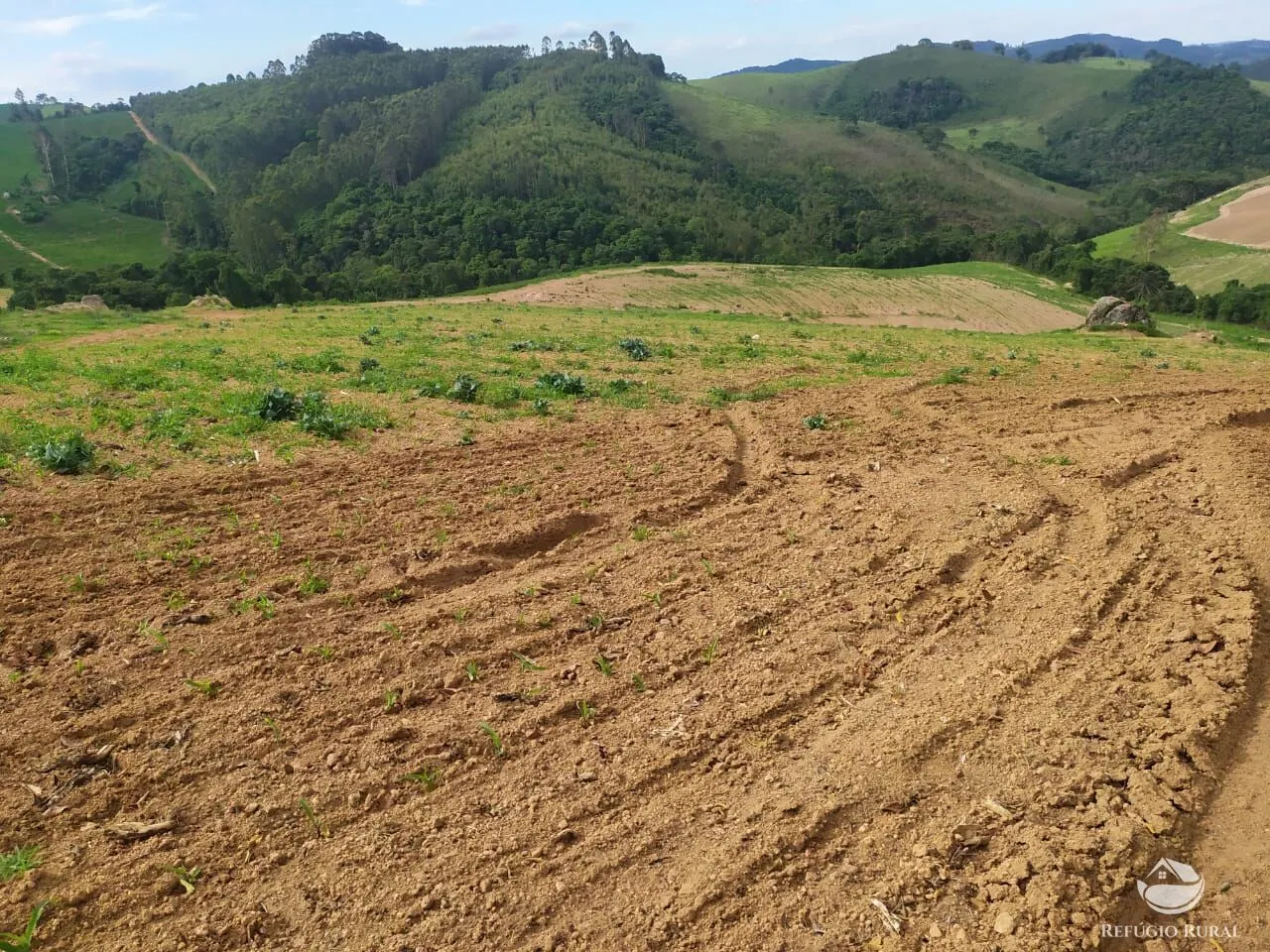 Fazenda à venda de 111 ha em Toledo, MG, Brasil