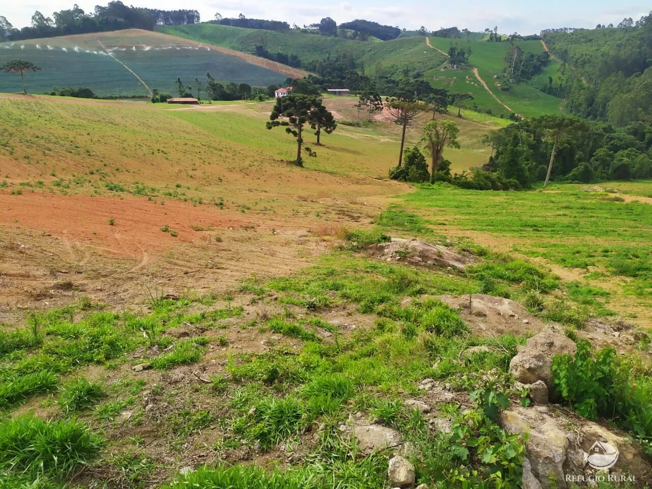 Fazenda à venda de 111 ha em Toledo, MG, Brasil