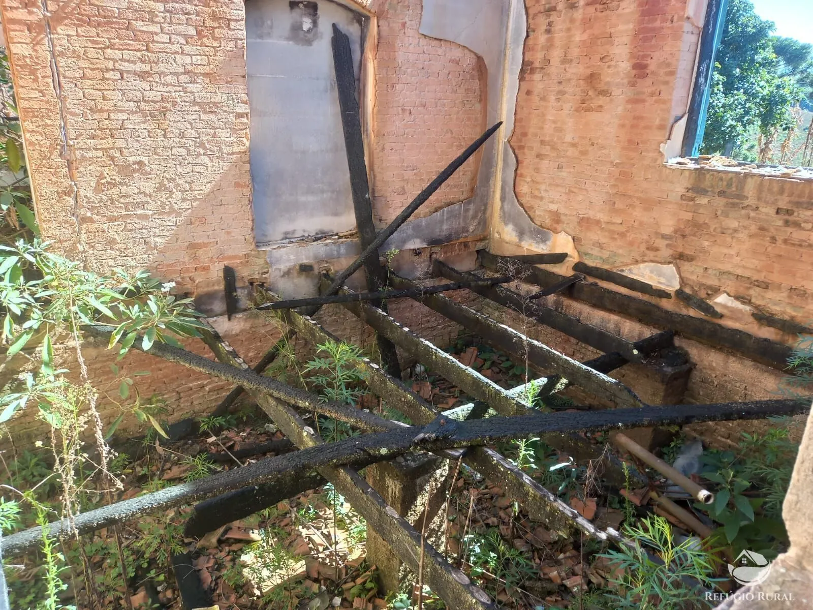 Fazenda à venda de 111 ha em Toledo, MG, Brasil
