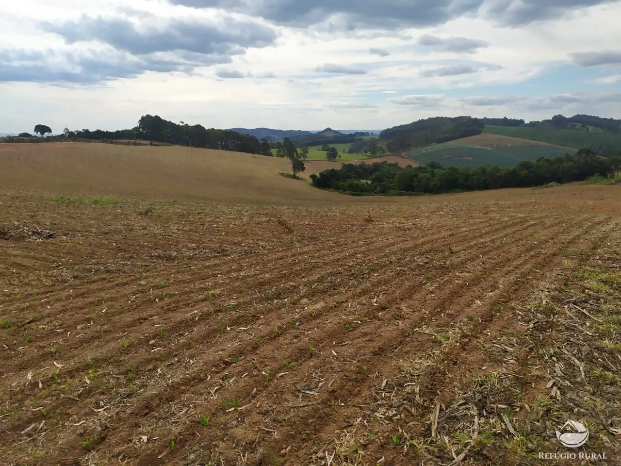 Fazenda à venda de 111 ha em Toledo, MG, Brasil