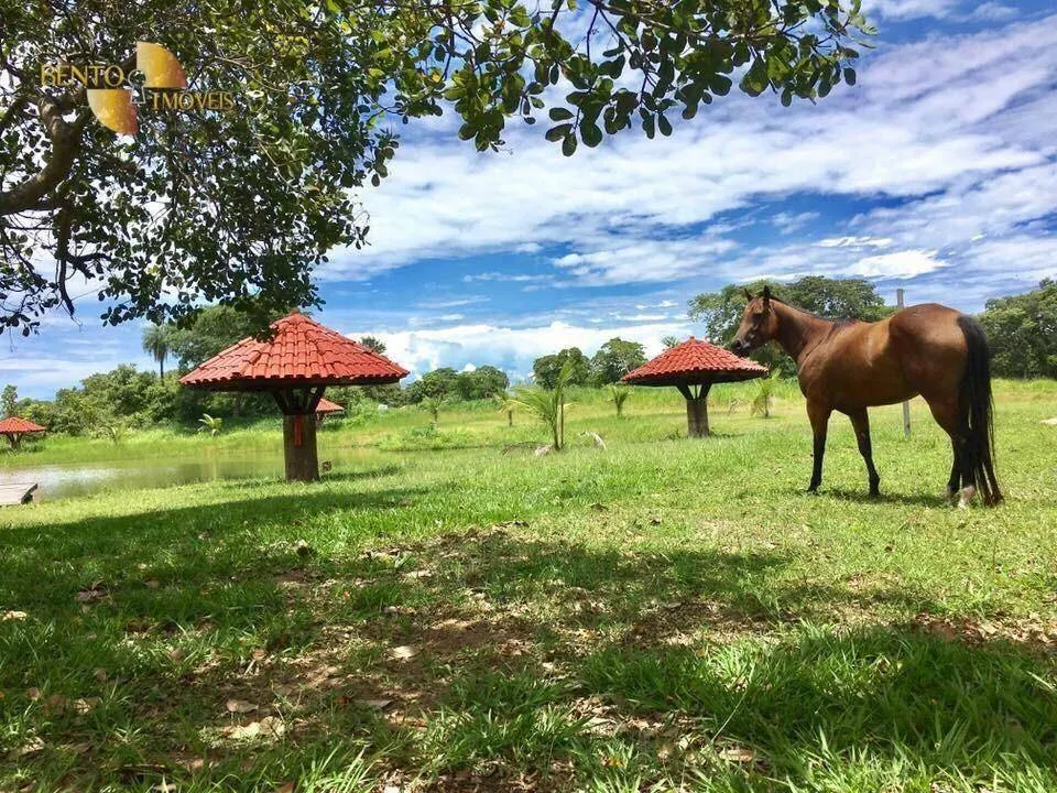 Small farm for sale of 8 acres in Santo Antônio do Leverger, MT, Brazil