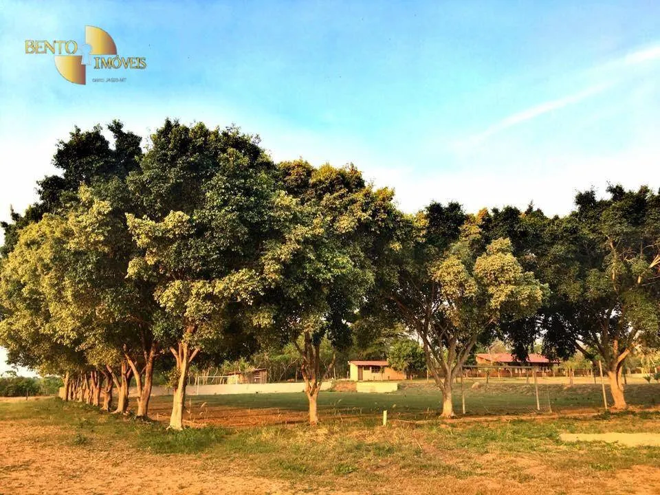 Small farm for sale of 8 acres in Santo Antônio do Leverger, MT, Brazil