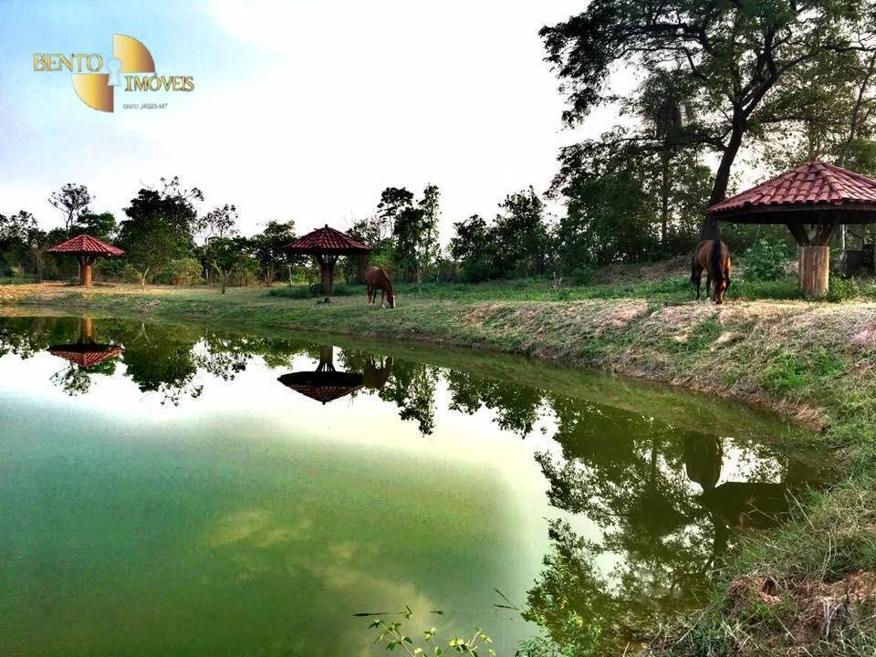 Small farm for sale of 8 acres in Santo Antônio do Leverger, MT, Brazil
