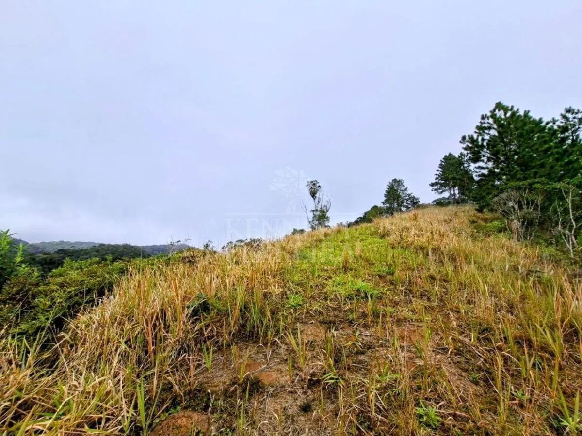 Sítio à venda de 7 ha em Juquitiba, SP, Brasil