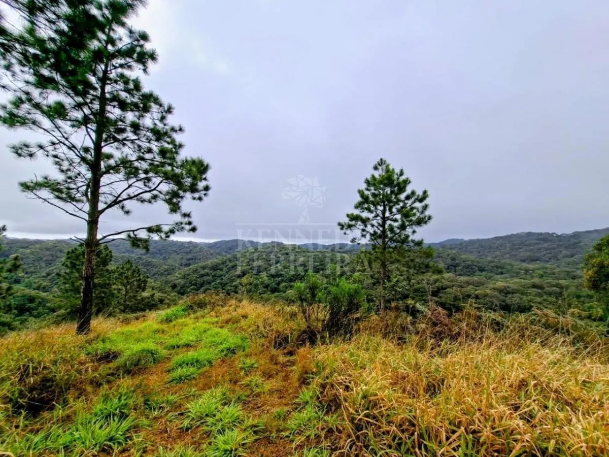 Sítio à venda de 7 ha em Juquitiba, SP, Brasil