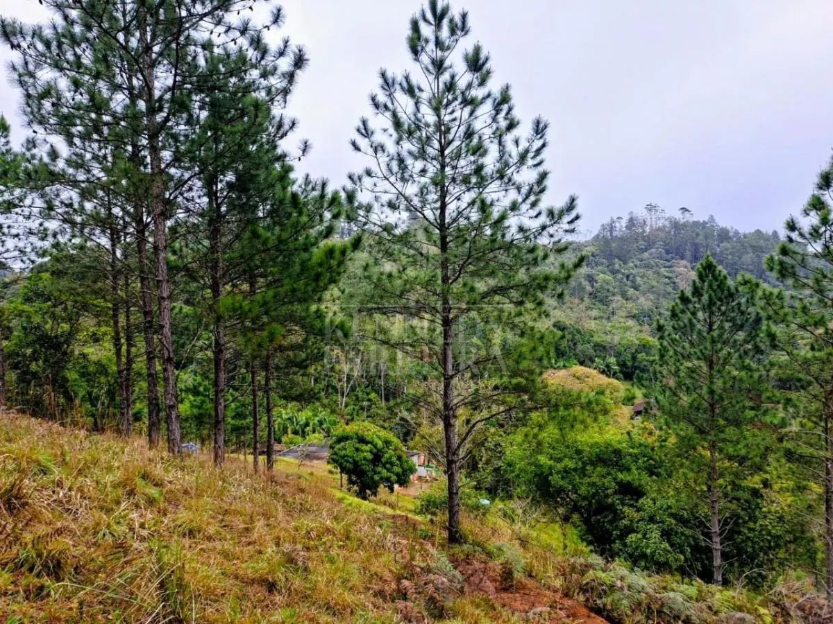 Sítio à venda de 7 ha em Juquitiba, SP, Brasil