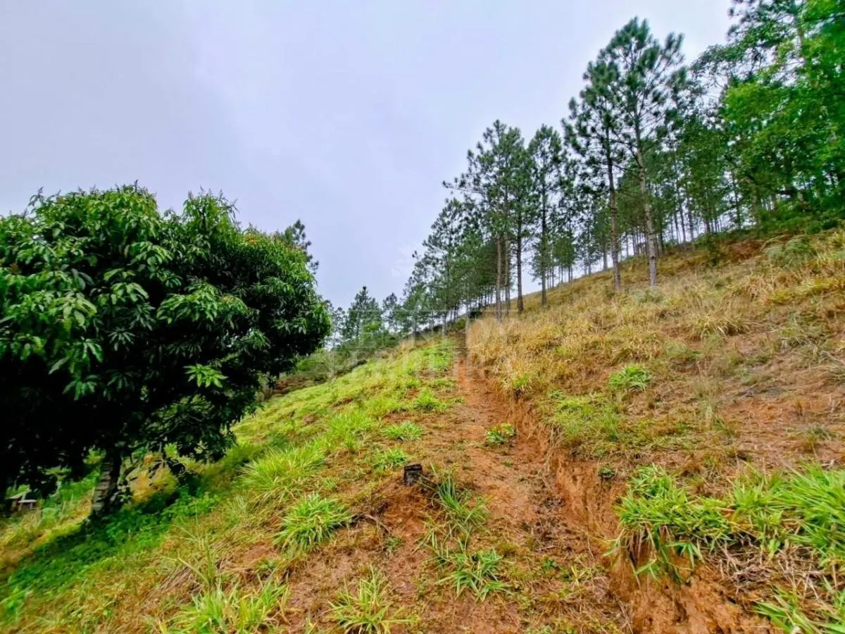 Sítio à venda de 7 ha em Juquitiba, SP, Brasil