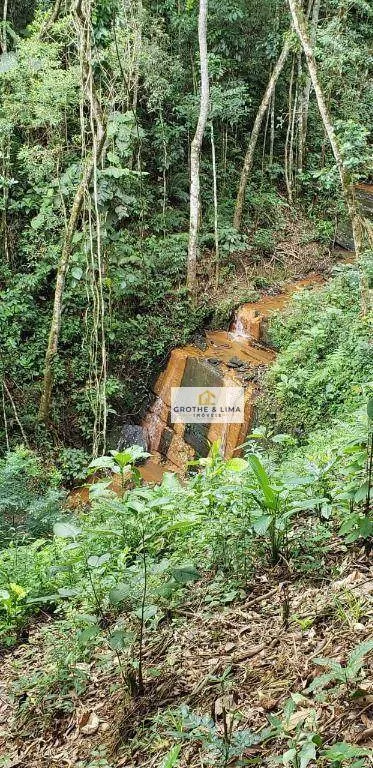 Farm for sale of 96 acres in Natividade da Serra, SP, Brazil