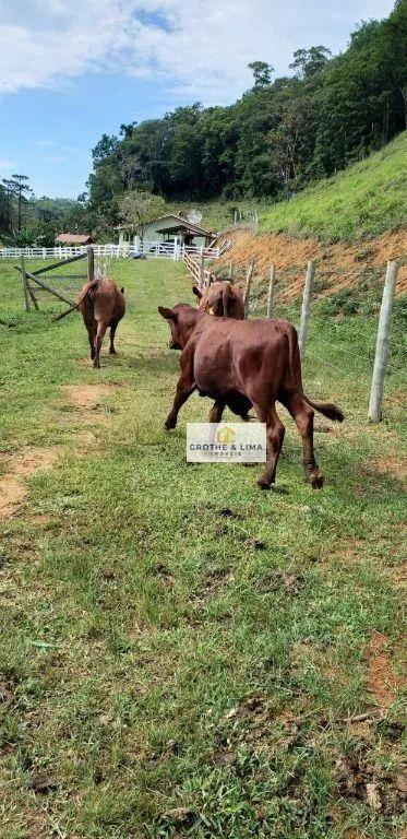 Farm for sale of 96 acres in Natividade da Serra, SP, Brazil
