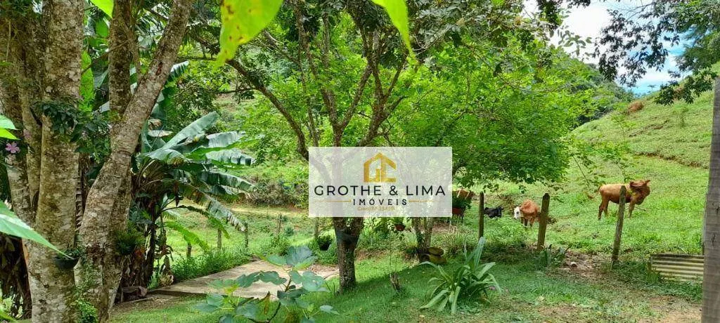 Farm for sale of 96 acres in Natividade da Serra, SP, Brazil