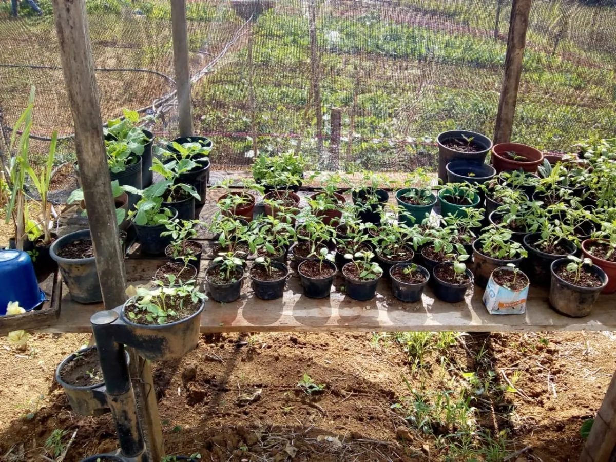 Small farm for sale of 14 acres in Capela do Alto, SP, Brazil