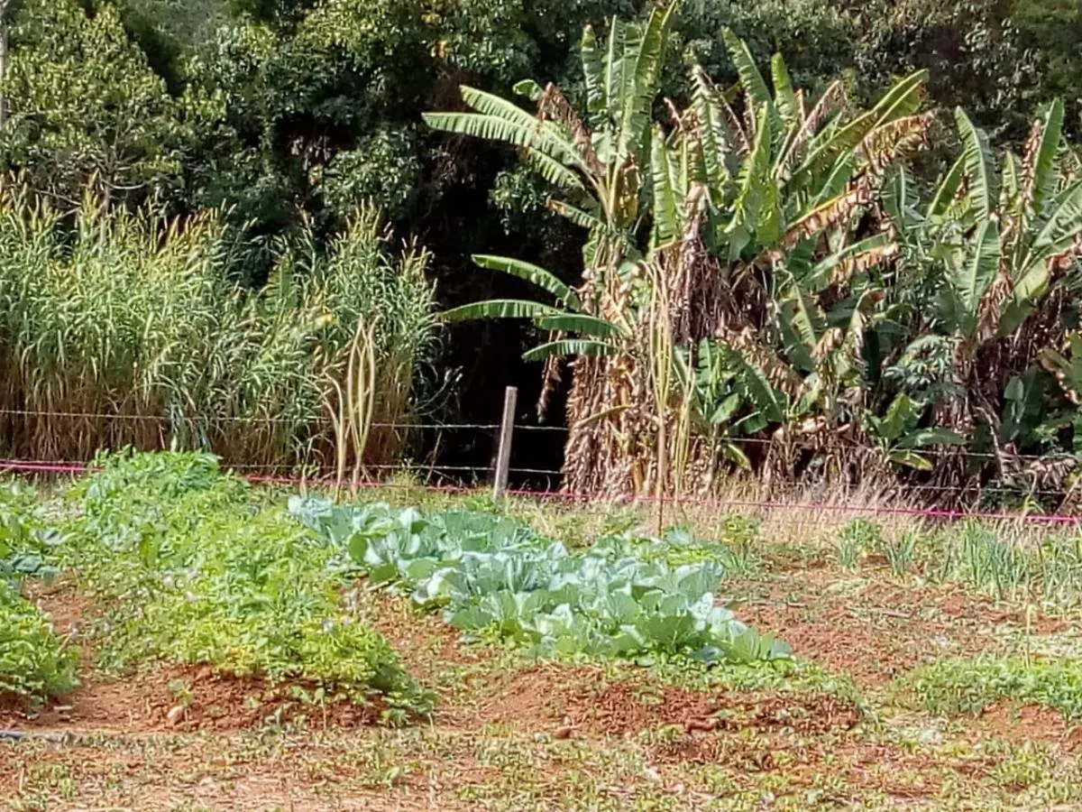 Small farm for sale of 14 acres in Capela do Alto, SP, Brazil