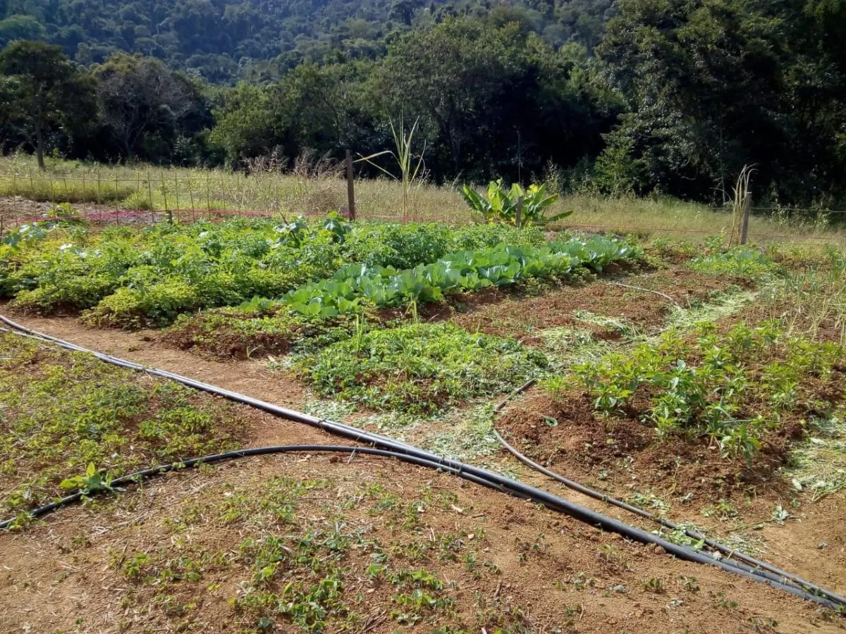 Small farm for sale of 14 acres in Capela do Alto, SP, Brazil