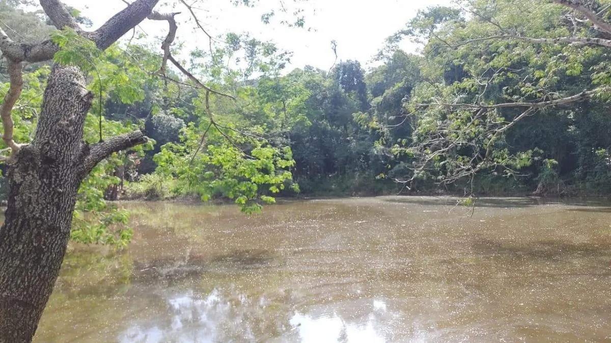 Small farm for sale of 14 acres in Capela do Alto, SP, Brazil
