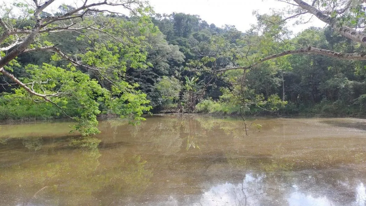 Small farm for sale of 14 acres in Capela do Alto, SP, Brazil