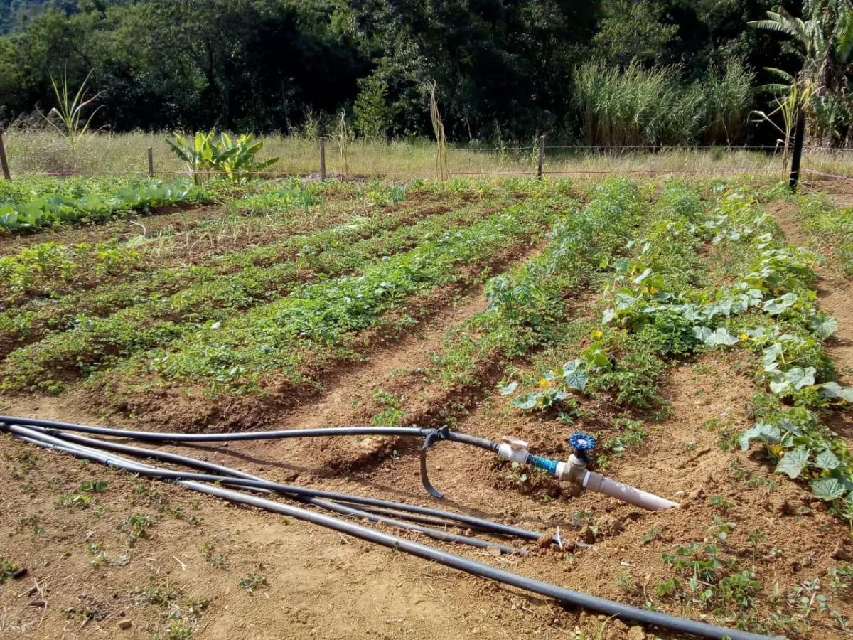 Sítio à venda de 6 ha em Capela do Alto, SP, Brasil