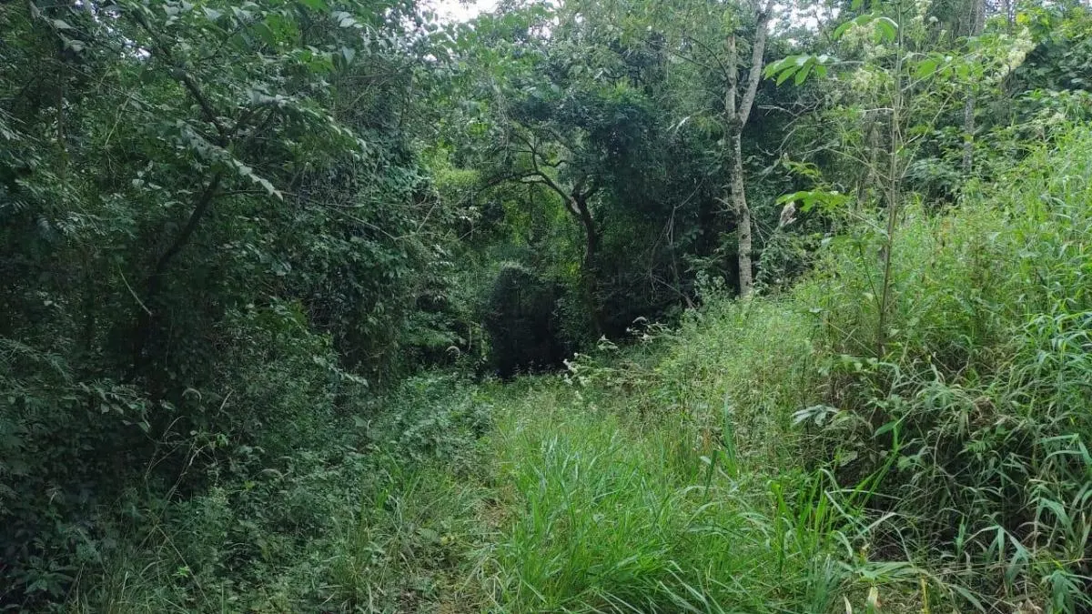 Small farm for sale of 14 acres in Capela do Alto, SP, Brazil