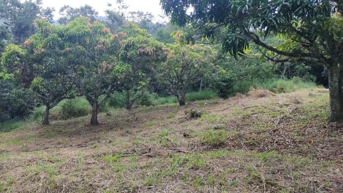 Small farm for sale of 14 acres in Capela do Alto, SP, Brazil