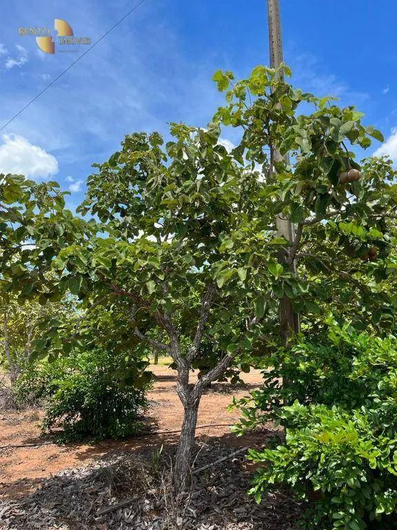 Chácara à venda de 10 ha em Chapada dos Guimarães, MT, Brasil