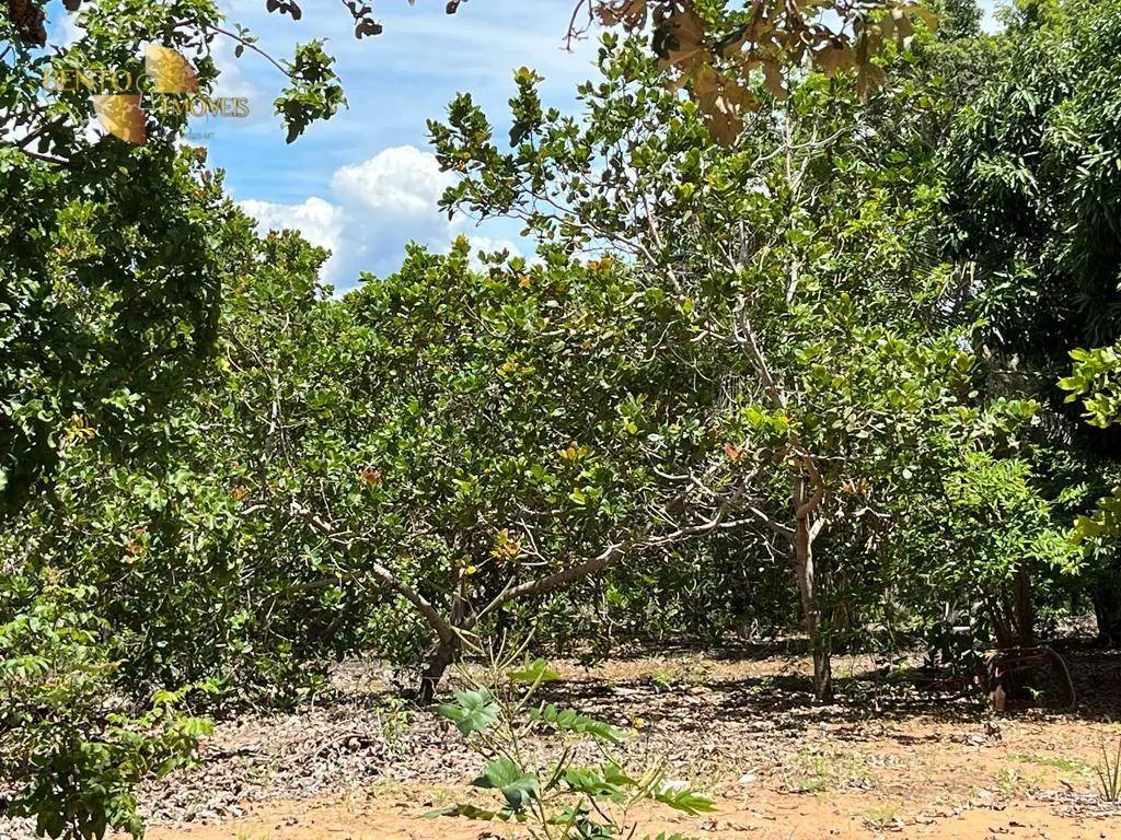 Chácara à venda de 10 ha em Chapada dos Guimarães, MT, Brasil
