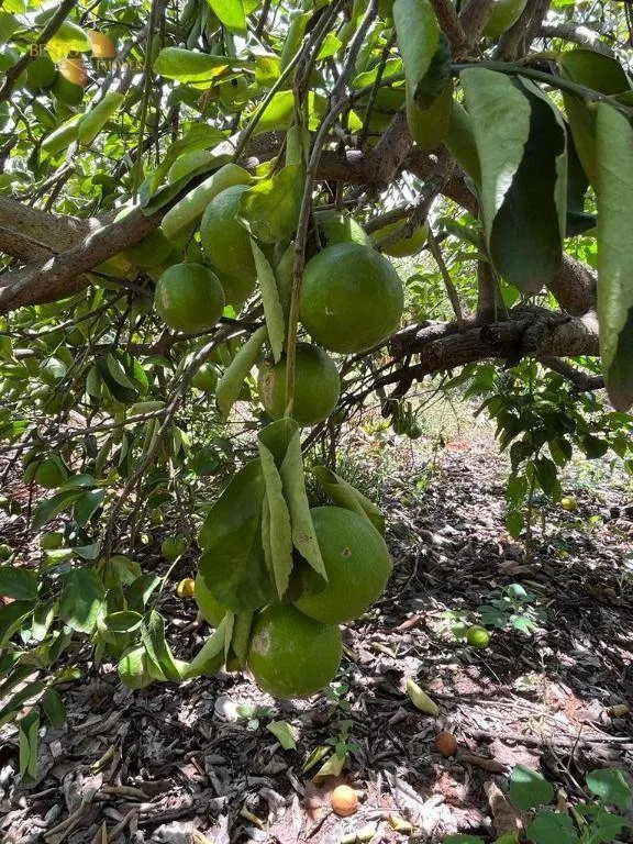 Chácara à venda de 10 ha em Chapada dos Guimarães, MT, Brasil