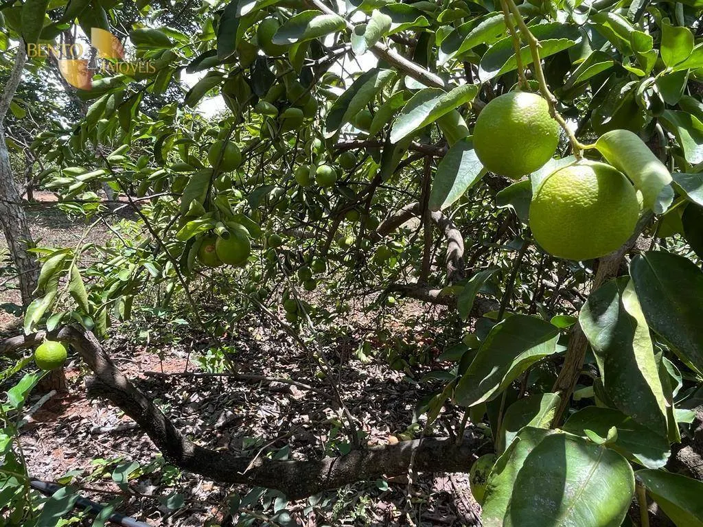 Chácara à venda de 10 ha em Chapada dos Guimarães, MT, Brasil