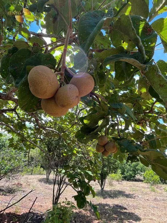 Chácara à venda de 10 ha em Chapada dos Guimarães, MT, Brasil